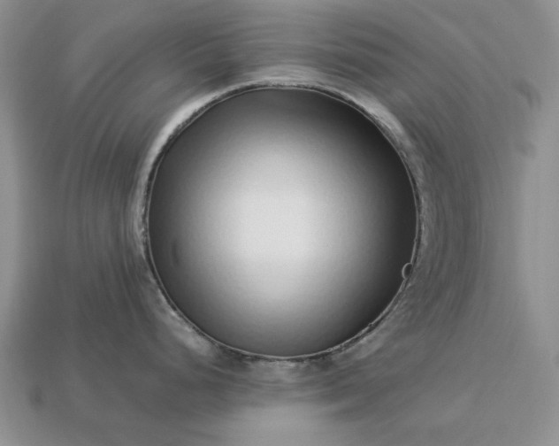 X0000113371248200909291044