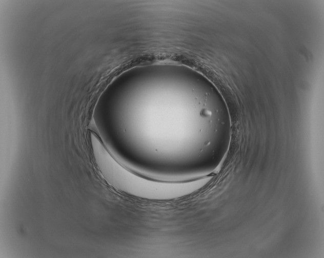 X0000113371249200909291044