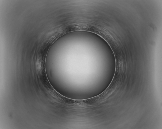 X0000113371250200909291043