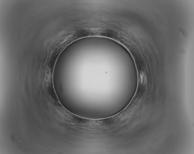 X0000113371251200909291043