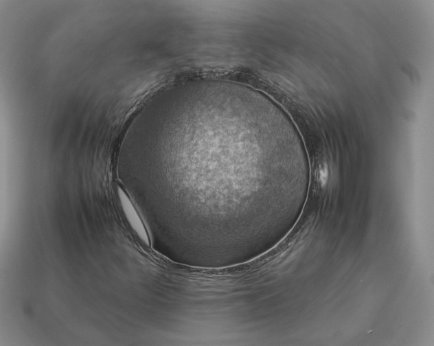 X0000113371252200909291043