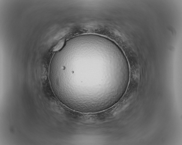 X0000113371253200909291043