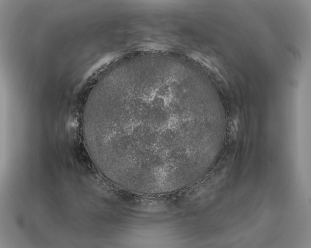 X0000113371254200909291043