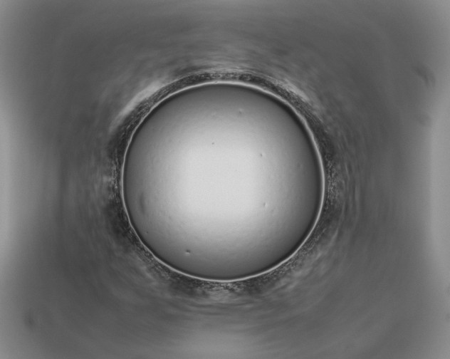 X0000113371255200909291043