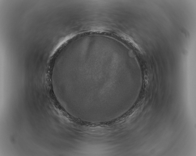 X0000113371256200909291043