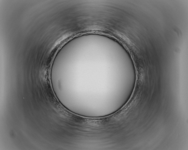 X0000113371258200909291043