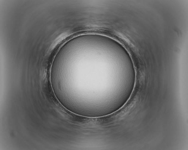 X0000113371259200909291043