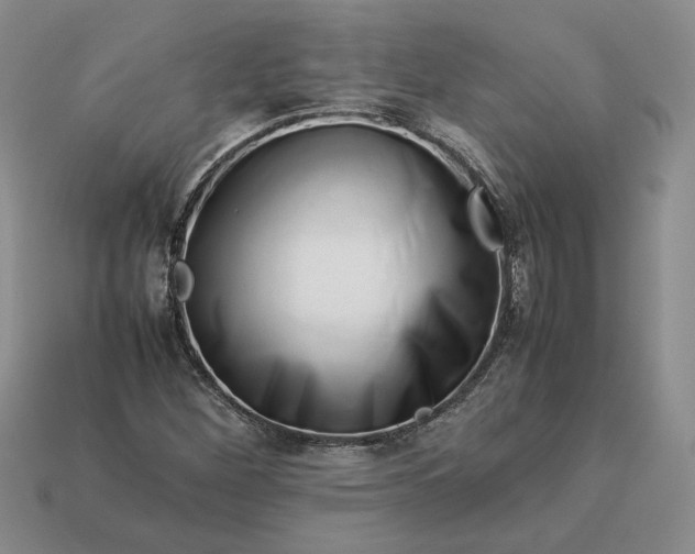 X0000113371260200909291043