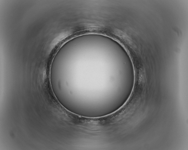 X0000113371261200909291043