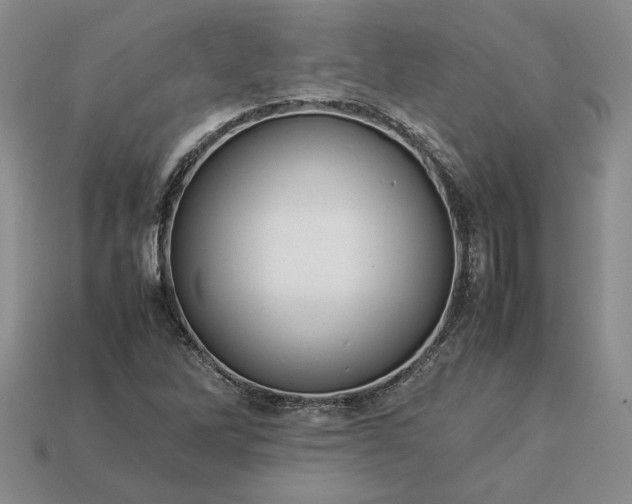 X0000113371262200909291043