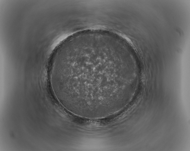 X0000113371263200909291043