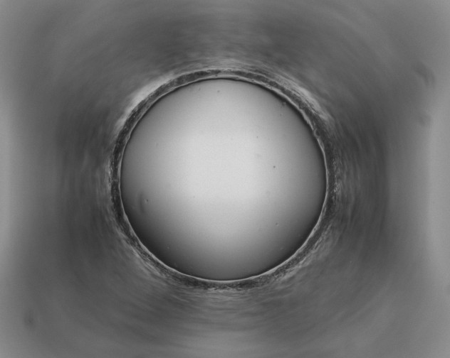 X0000113371264200909291043