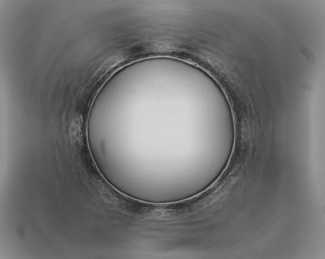 X0000113371265200909291043