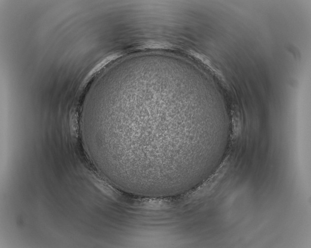 X0000113371266200909291043