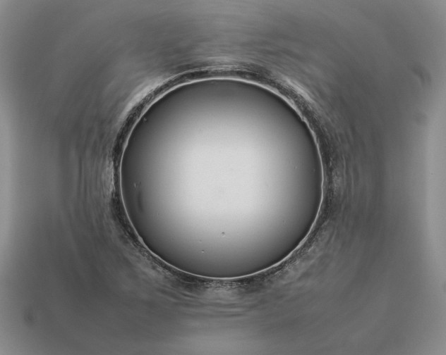 X0000113371267200909291043