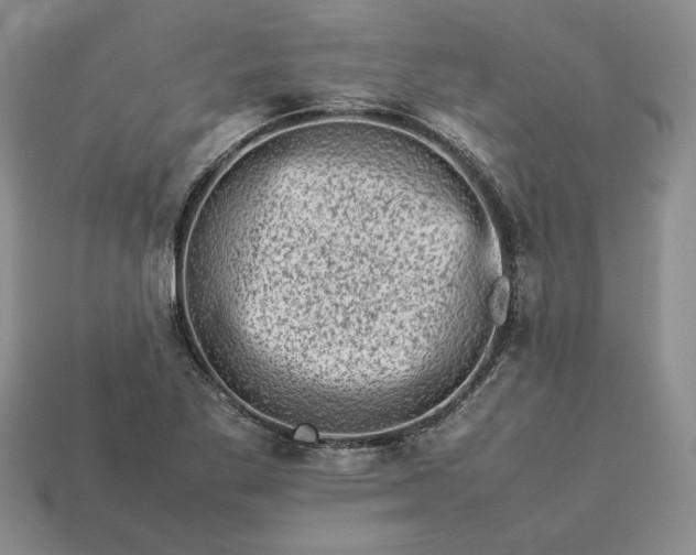 X0000113371269200909291043