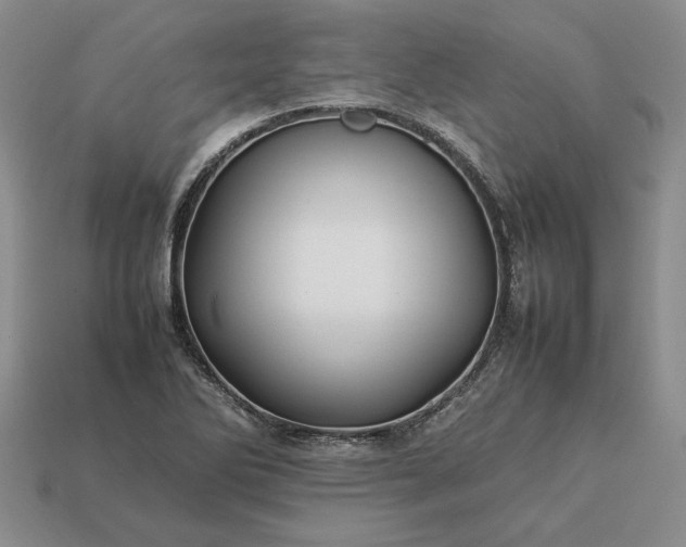 X0000113371270200909291043