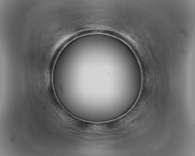 X0000113371271200909291043