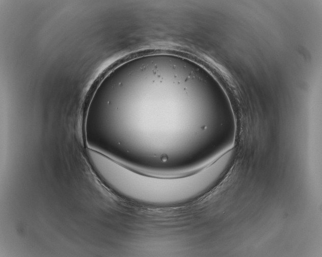 X0000113371272200909291043