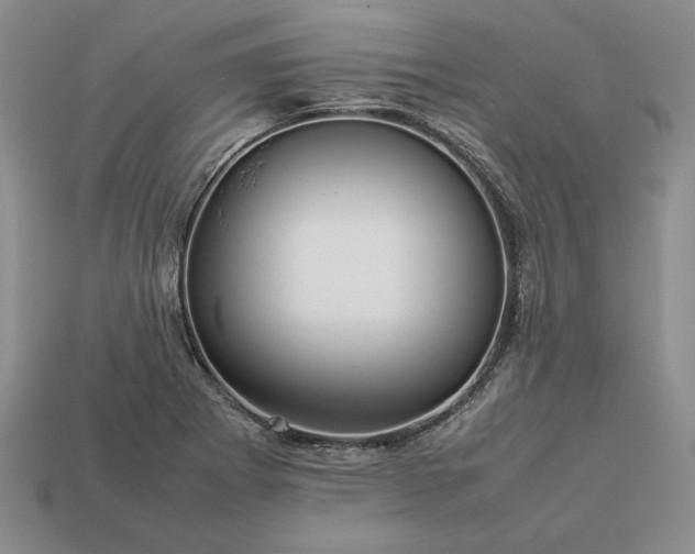 X0000113371273200909291043