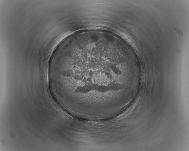 X0000113371275200909291043