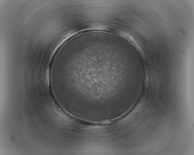 X0000113371276200909291043