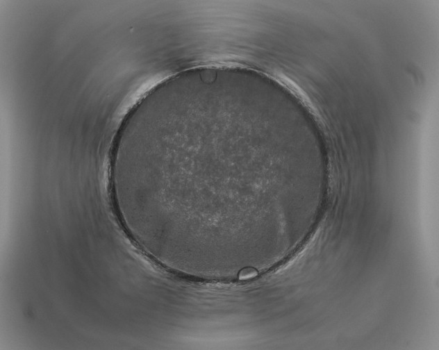 X0000113371277200909291043