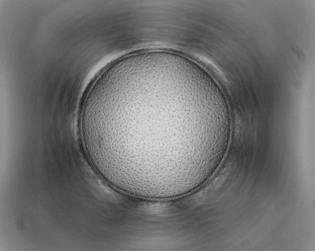 X0000113371278200909291043