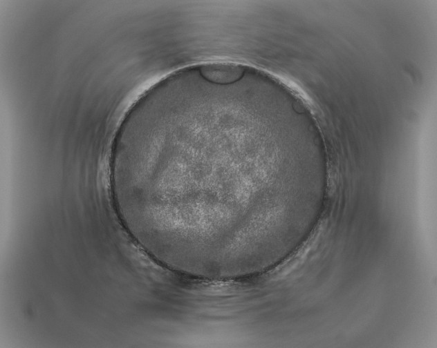 X0000113371279200909291043