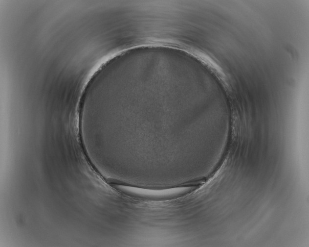 X0000113371280200909291043