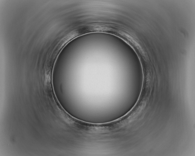 X0000113371281200909291043