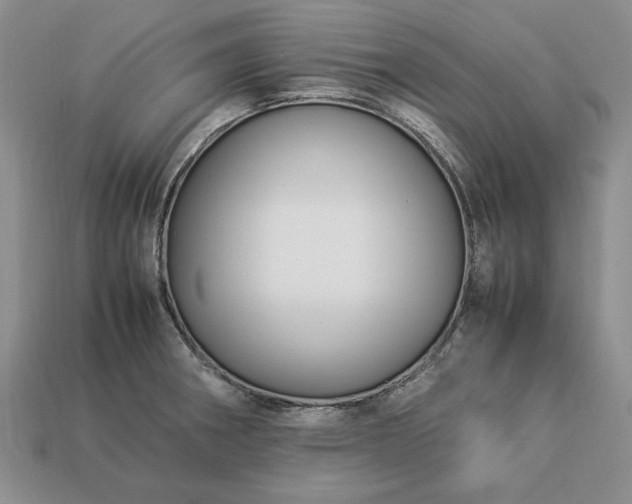 X0000113371282200909291043