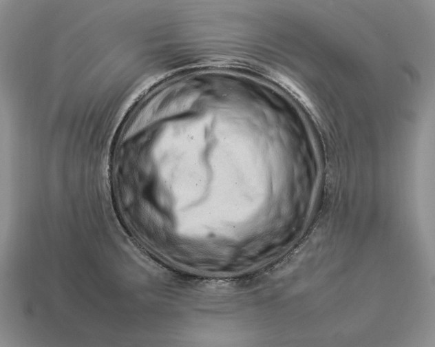 X0000113371283200909291043