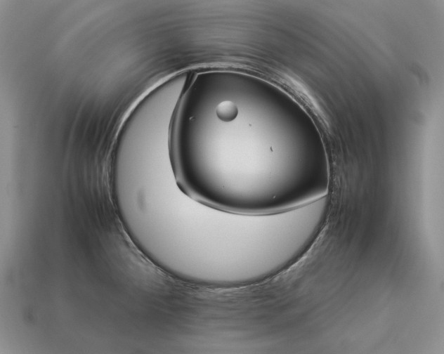 X0000113371284200909291043