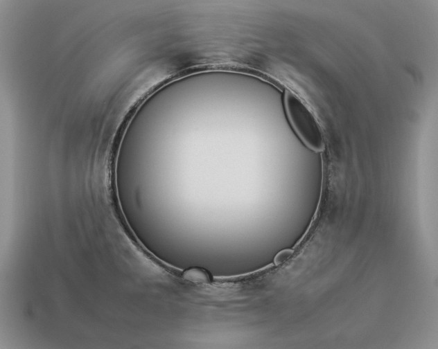 X0000113371285200909291043