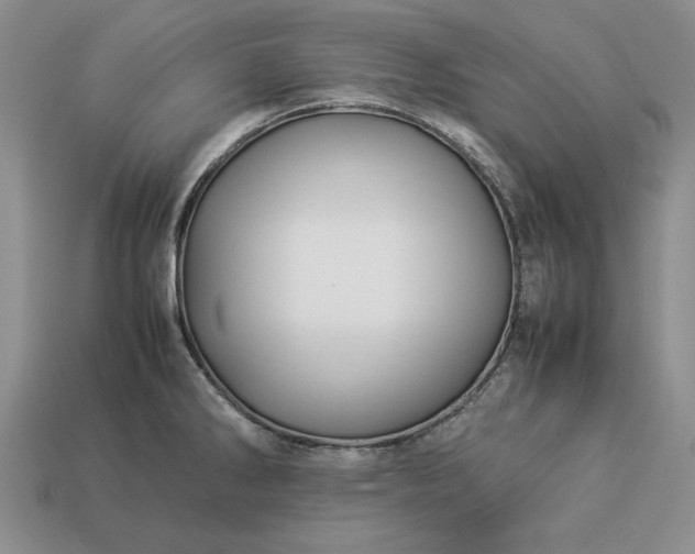 X0000113371286200909291043