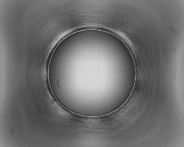 X0000113371287200909291043