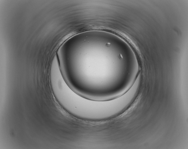 X0000113371289200909291043