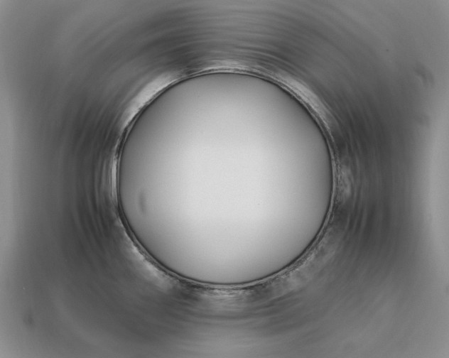 X0000113371290200909291043