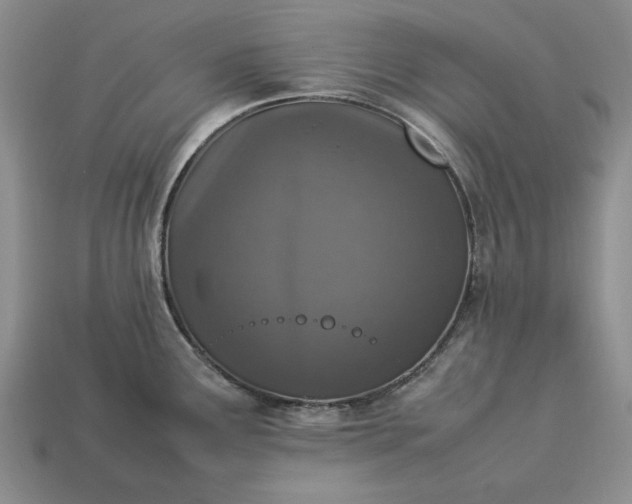 X0000113371291200909291043