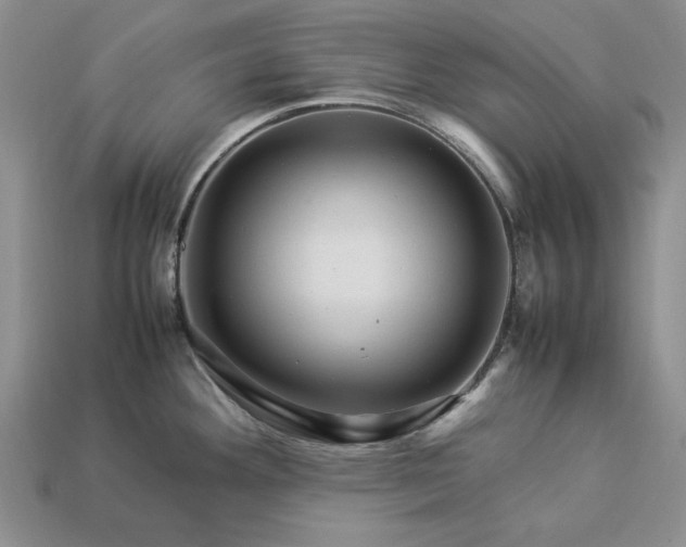 X0000113371292200909291043