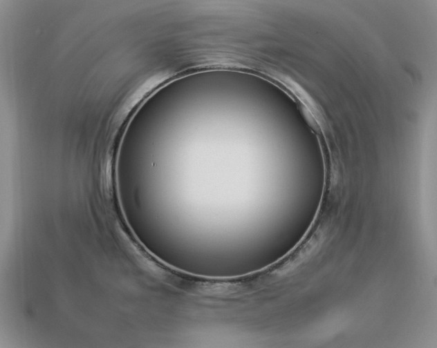 X0000113371293200909291043