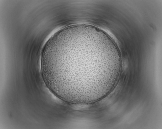 X0000113371294200909291043