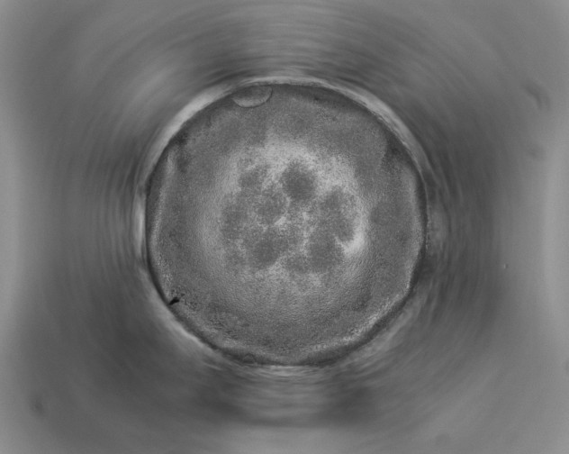 X0000113371295200909291043