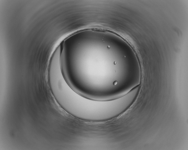 X0000113371296200909291043