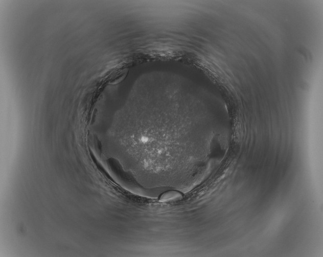 X0000113371297200909291042