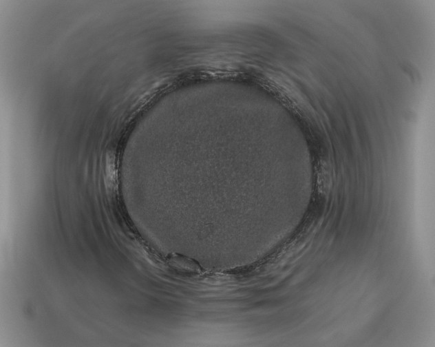 X0000113371298200909291042