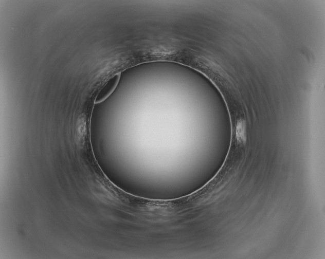 X0000113371299200909291042