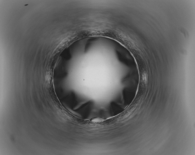 X0000113371300200909291042