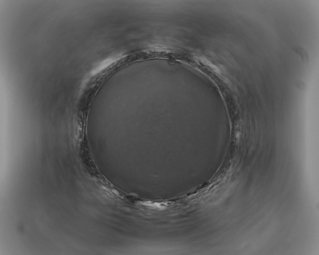 X0000113371303200909291042